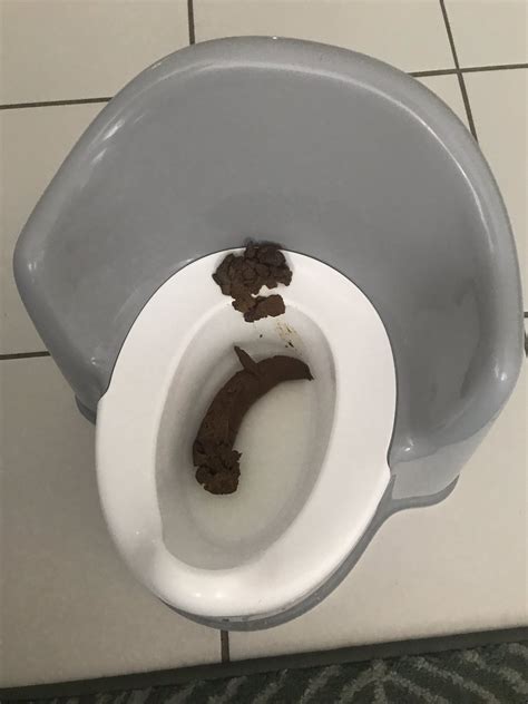 huge poop scat|Enormous Big Scat By Sophia Faber And Penelope .